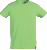 bao-339-large.png